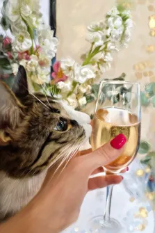 Портрет кошки в стиле Под масло с бокалом шампанского, художник Александра 