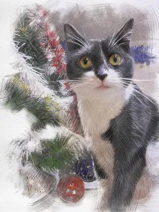 Портрет кота в стиле карандаш. На картине изображён серо-белый кот с выразительными жёлтыми глазами, сидящий на фоне новогодних украшений — еловых веток, мишуры и ёлочных игрушек. Атмосфера работы праздничная и уютная, мягкие мазки и приглушённые тона подчёркивают теплоту зимнего настроения. Художник Татьяна