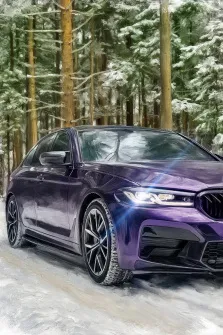 Под масло. На картине изображён фиолетовый BMW M5 F90, стоящий на заснеженной дороге в лесу. Фары автомобиля включены, а вокруг — высокие заснеженные ели, создающие атмосферу зимнего уединения. Художник Анна