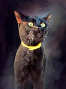 Портрет питомца (животного) Под масло на нейтральном темном фоне: изображен короткошерстный черный кот с острыми ушками, яркими желтыми глазами и желтом ошейнике. Художник Анастасия.