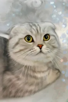 Портрет Шотландской вислоухой кошки выполнен Под масло, художник Александра 