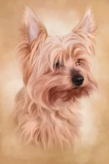 Портрет собаки породы йоркширский терьер выполнен в стиле под масло, художник Антонина